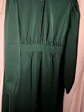 Elegant Forest Green Long Sleeve Dress